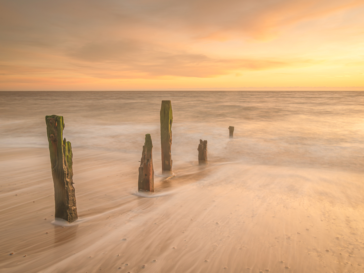 The Last Ones Standing - Andy Soar